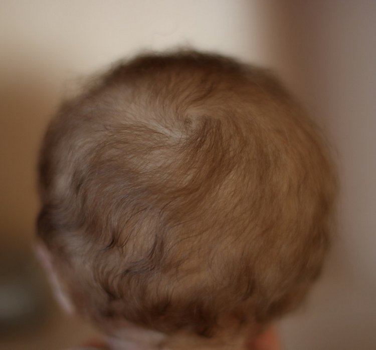 Рождественский эльф Флинн (фото 2)