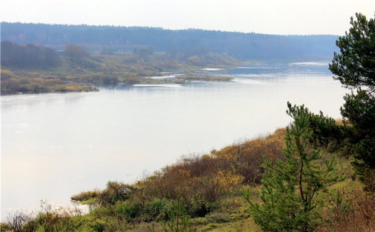 Гришутка — Винтажные куклы ГДР (Немки): Бигги