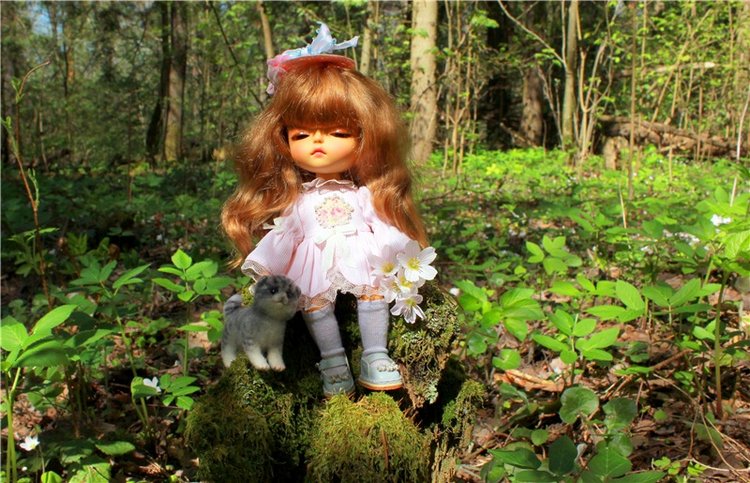 Путешествие Софи в Старицу. Lati HoneyBee New Mystic Sophie