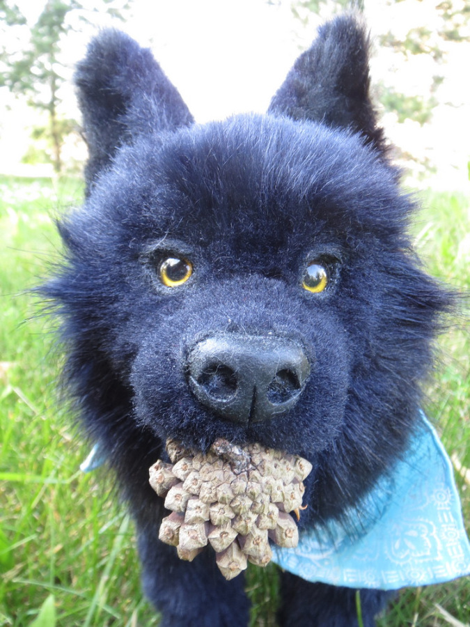 Мой домашний волчок — Домашние фото авторских игрушек: Тедди