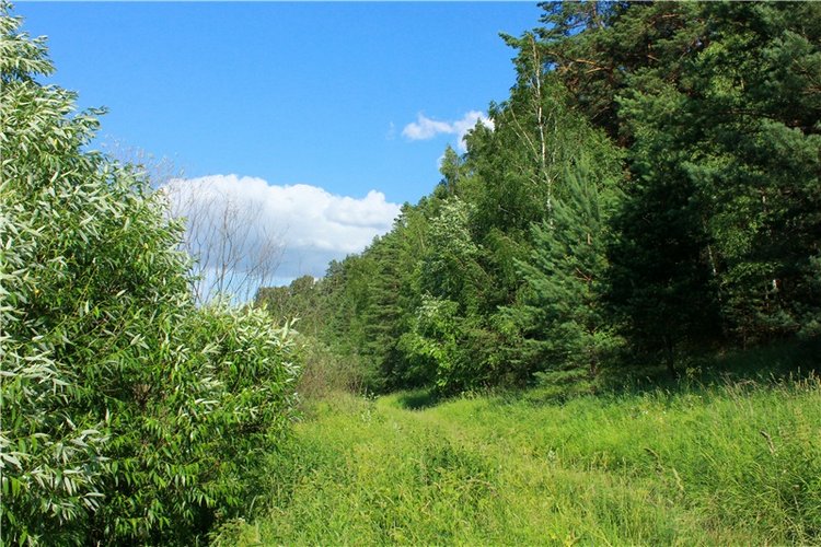 Путешествие Эли на красивый берег реки Волги