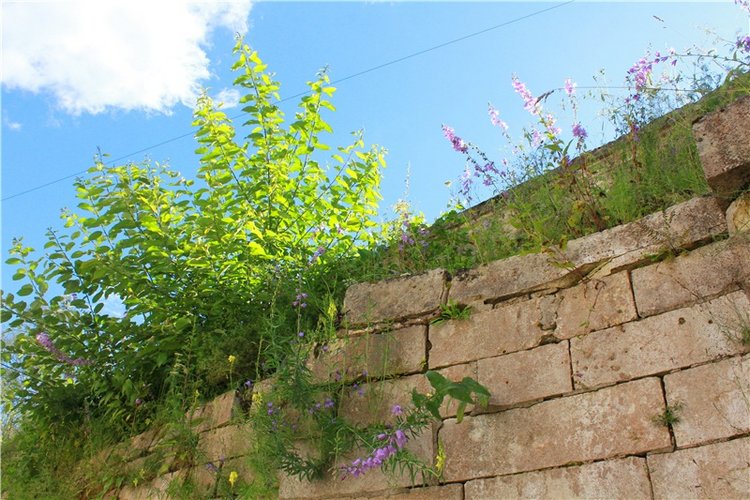 Тайны Древней Старицы — Культура