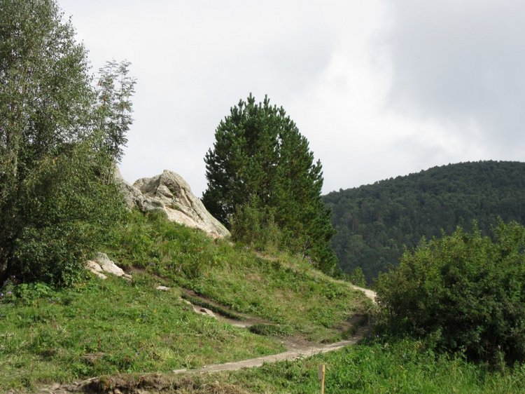 Джилы-Су в тумане — Туризм и путешествия: фотоотчеты из поездок