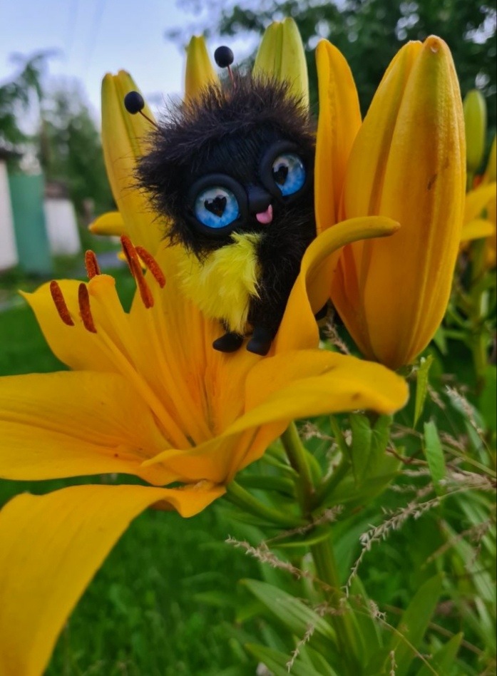 Шмелечек в новом доме. Яркие фотографии из жизни Шмеля (фото 10)