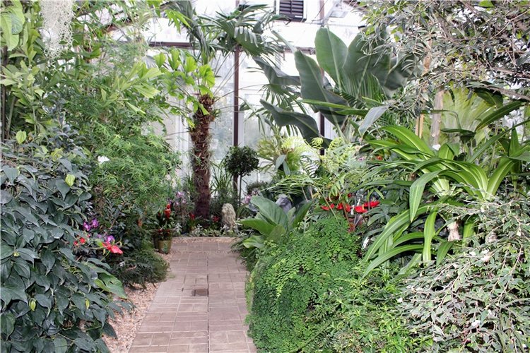 Тверской Ботанический Сад, продолжение | Бэйбики Тверской Ботанический Сад, продолжение