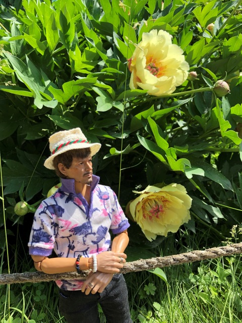 Тони Старк: приключения без брони. И снова Аптекарский огород | Бэйбики Тони Старк: приключения без брони. И снова Аптекарский огород