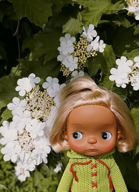 Holala Pipita Peter — Куклы Holala (Холала) от Jenny Fairytown: Pipita (фото 5)