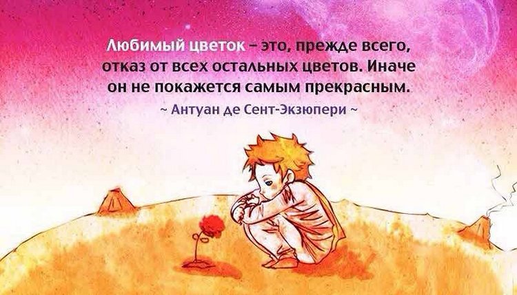 Любимый Цветок. Studio Doll Little Prince, автор Sylvia Natterer