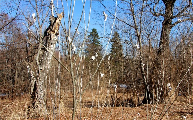 Апрельский день в Василёво, заключительная часть