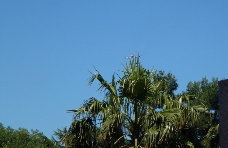 Краснодарский Край, Сочи-Адлер, Санаторий «Южное Взморье»