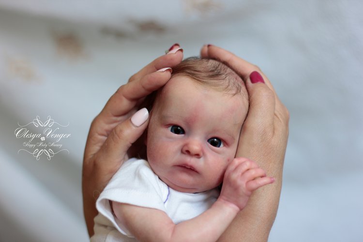 Тинк, мой любимый птенчик. Кукла реборн Венгер Олеси