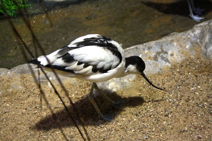 Московские каникулы. Часть 1