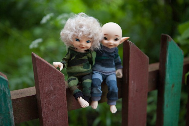 Знакомство с братьями эльфами 2