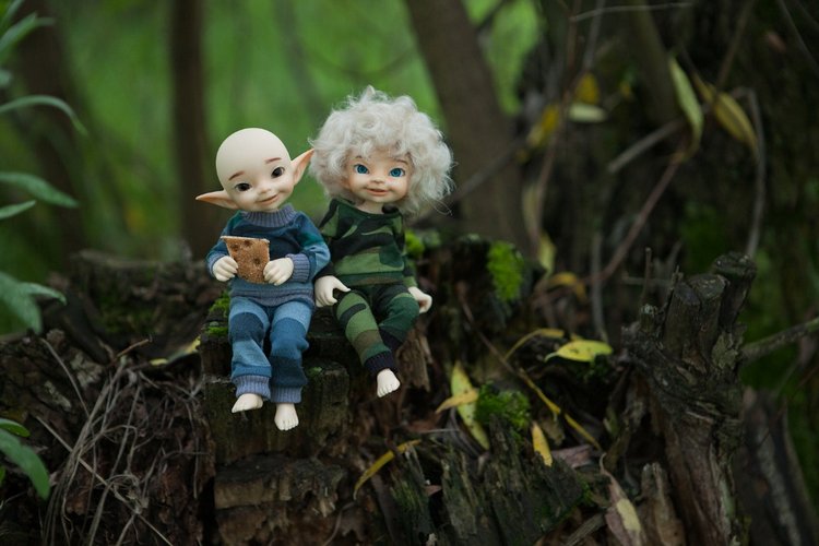 Знакомство с братьями эльфами 2 (фото 7)