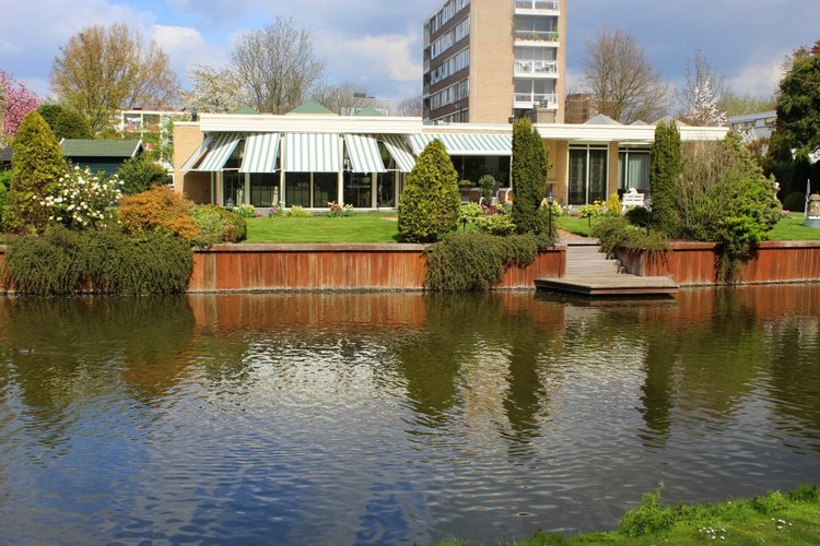 Цветущая Сакура. Прогулка по парку с Алисой. Весенние зарисовки