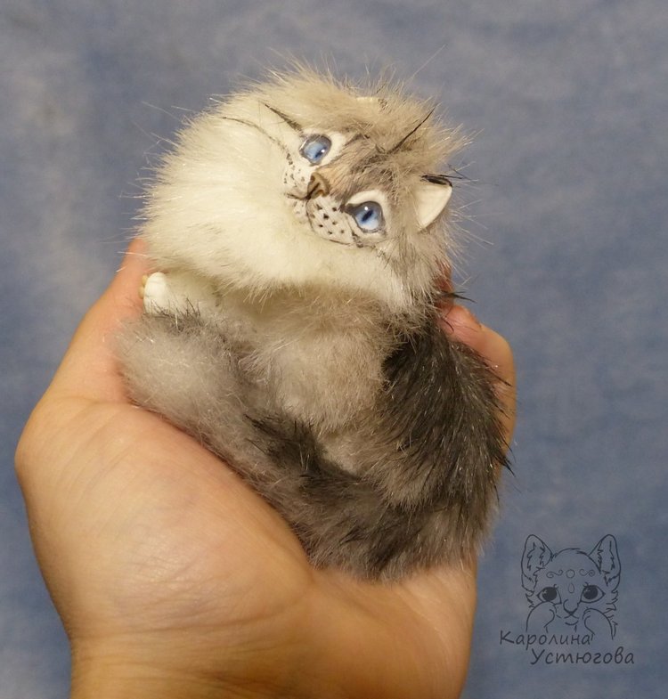 Котята Невские маскарадные, окрас Тэбби пойнт