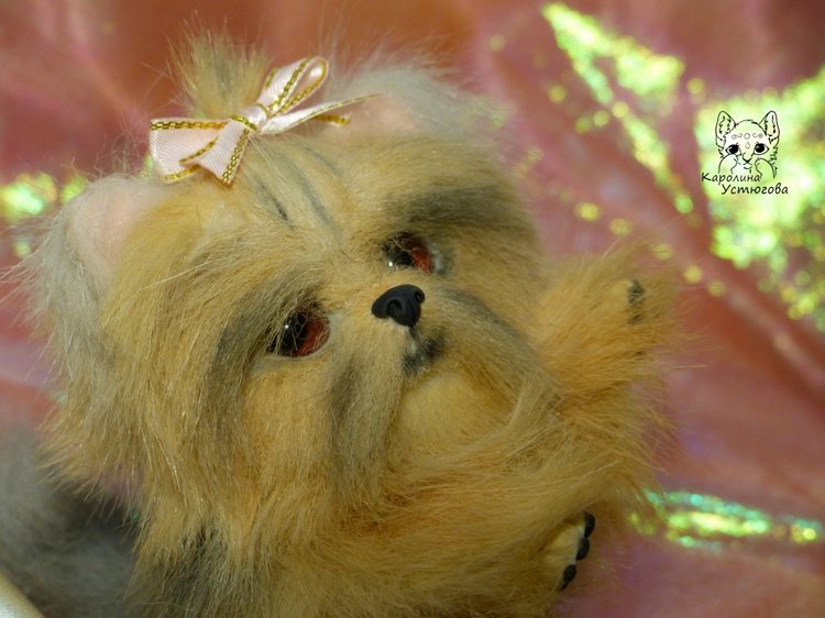 Еще один щенок Йоркширского терьера (фото 5)