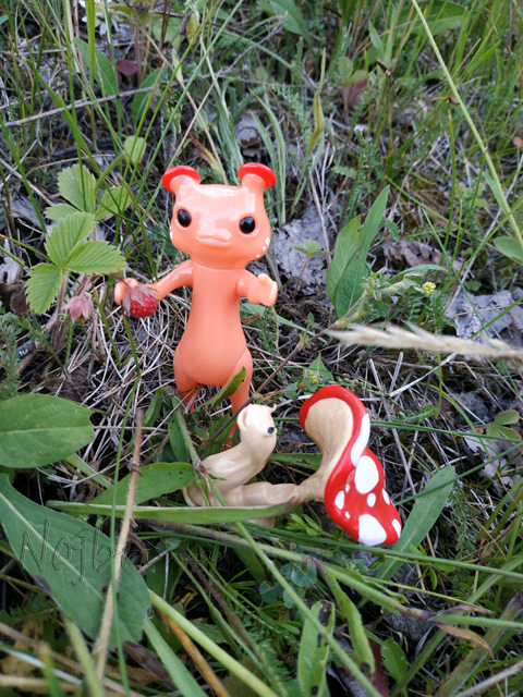 Wonderfrog. Красота в простоте