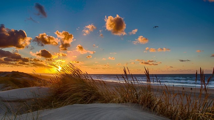 Мисс Бэйбики 2019. Фотосессия в купальнике - часть вторая | Бэйбики Мисс Бэйбики 2019. Фотосессия в купальнике - часть вторая