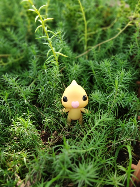 Попугайчик Kotoribir — Коллекционные куклы разных авторов (Разное): редкие бренды