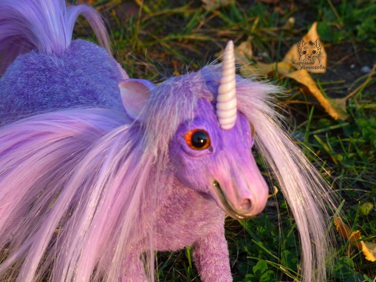 Единорог-страна мечты. Осеняя прогулка