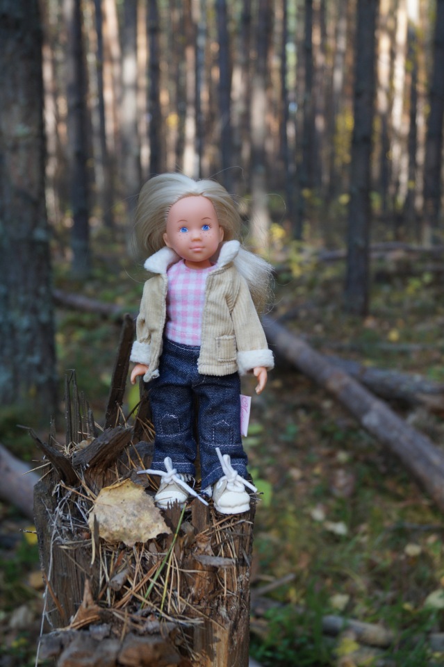 Хотите прогуляться по нашему городу? А за город - по экологической тропе