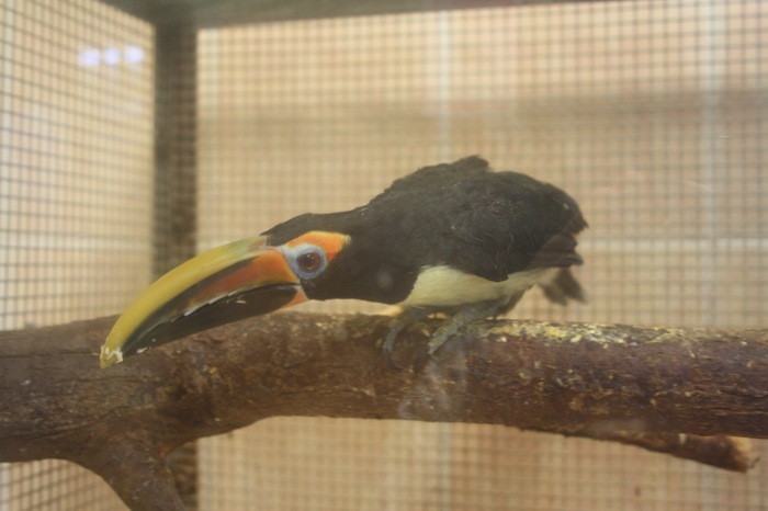 Псков. Эколого-биологический центр. Часть 2 (фото 2)