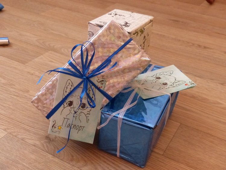 Новогодняя упаковка, провожаем в путь зверяток. Разные фотографии
