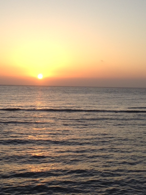 Путешествие с Минуш по Сицилии. Ч.2. Следы древних эллинов в цитрусовых рощах