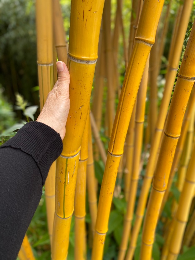 Галопом по Европам... 2 Часть