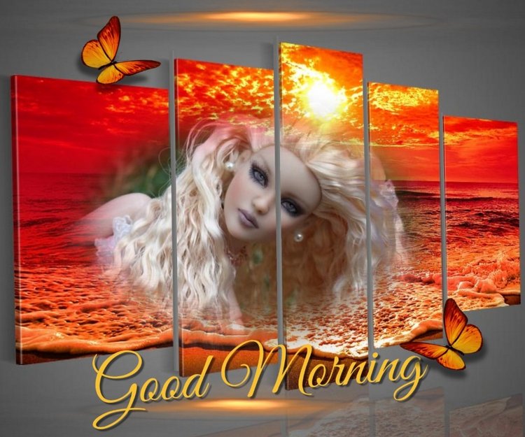 Мои Тоннерки. Фотозарисовки (фото 10)