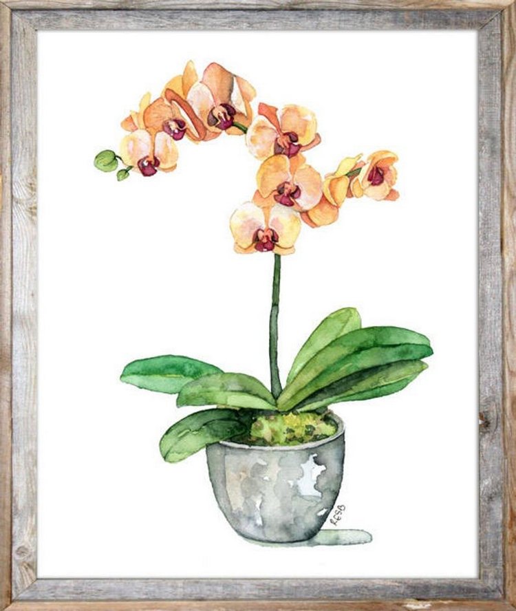 TheColorfulCatStudio - Иллюстрированная флора by Rachel Byler (фото 10)