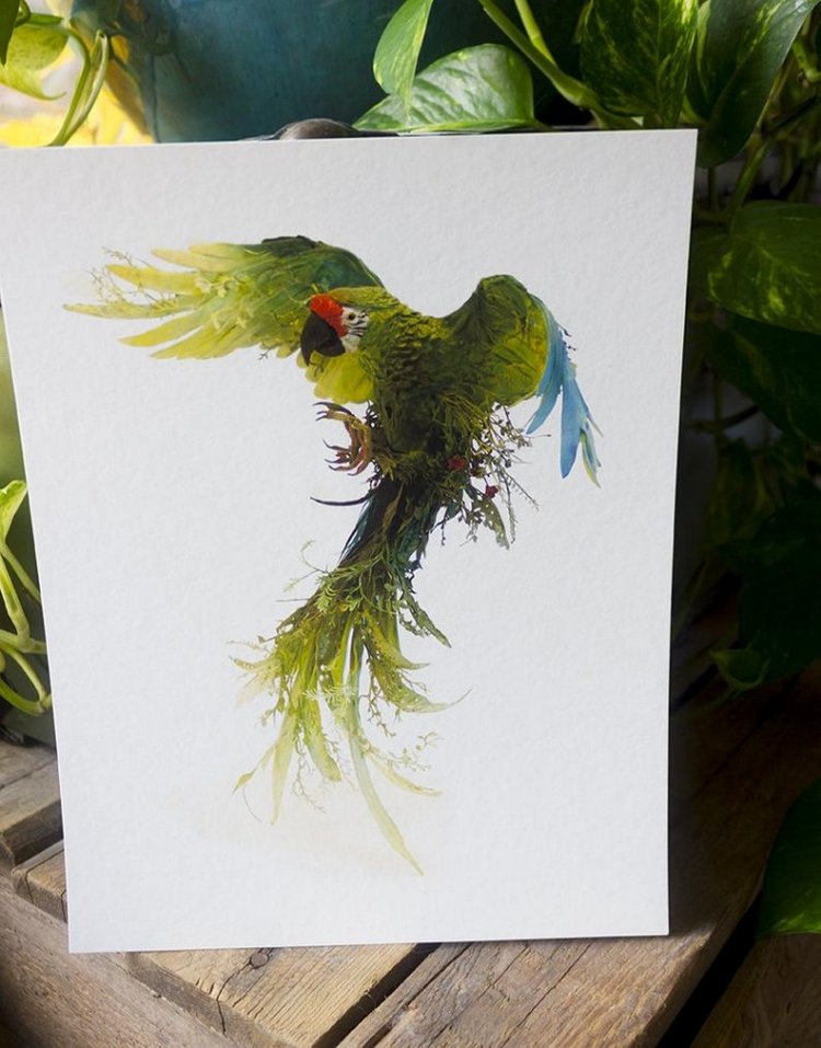 EllenJewettPrintShop - "Сюрреалистическая естественная история" by Ellen Jewett (фото 5)