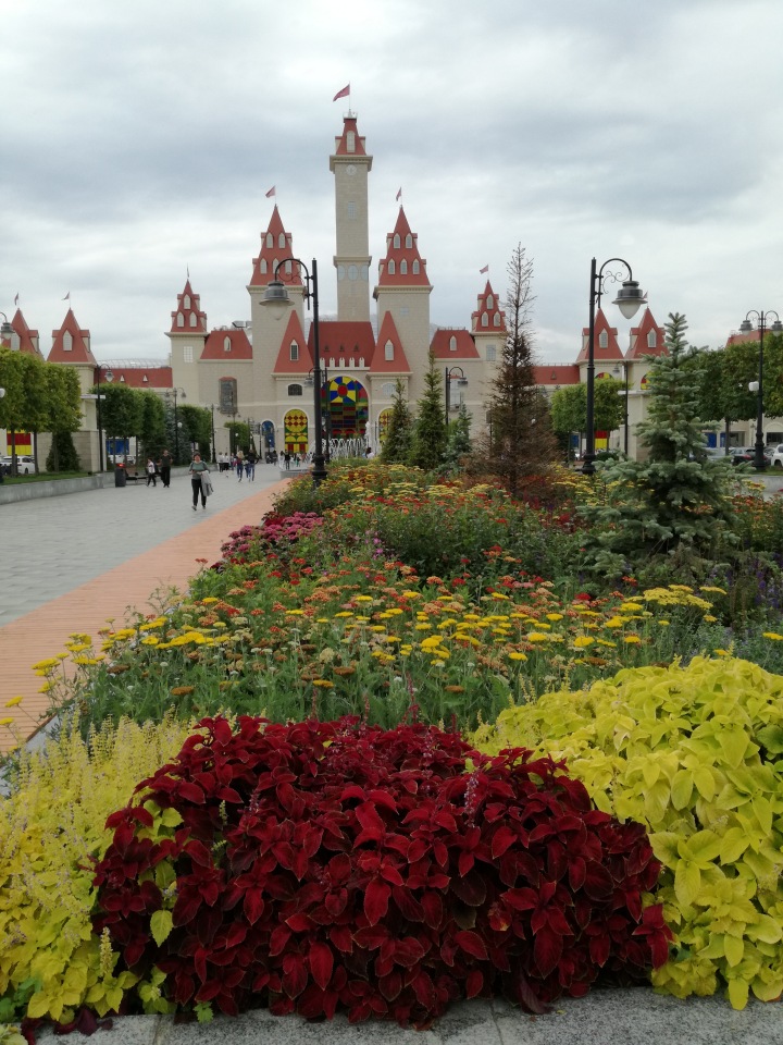 Знакомьтесь, новый вид медведей - медведь сумочный