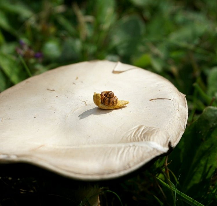 TinyLittleMiniatures - Авторские миниатюрные глиняные фигурки by Milia