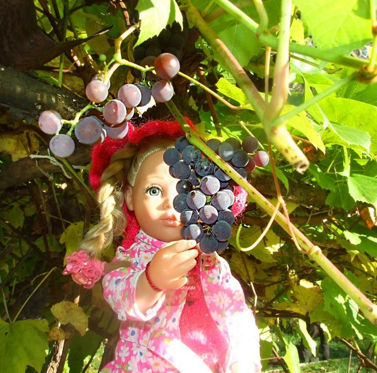 Линка и Иришка - сборщицы винограда | Бэйбики Линка и Иришка - сборщицы винограда