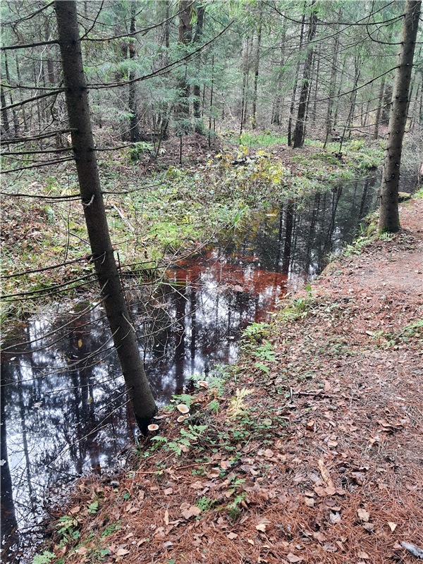 Путешествие по Святым местам Тверской области
