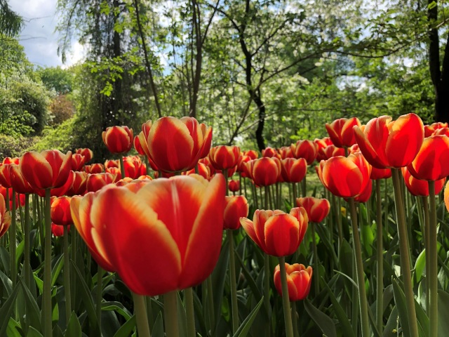 Тони Старк: приключения без брони. Был месяц май, половина вторая