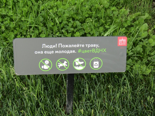 Тони Старк: приключения без брони. Был месяц май, снова | Бэйбики Тони Старк: приключения без брони. Был месяц май, снова