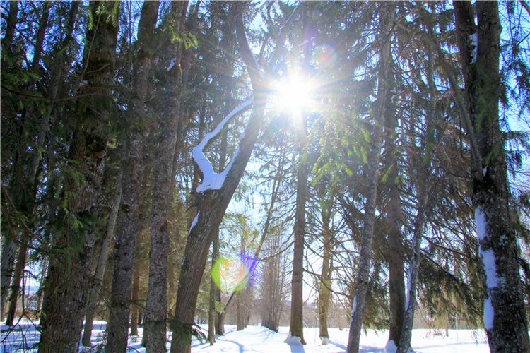 Снежный Март — Туризм и путешествия: фотоотчеты из поездок