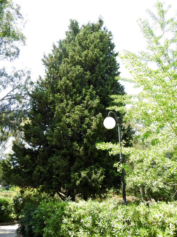 Краснодарский Край, Сочи-Адлер, Санаторий «Южное Взморье»