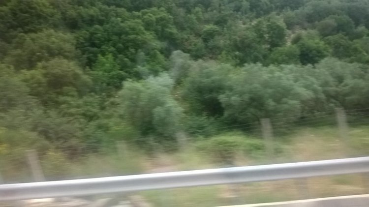 Экскурсия с Маргошей на Метеоры (материковая Греция) часть вторая