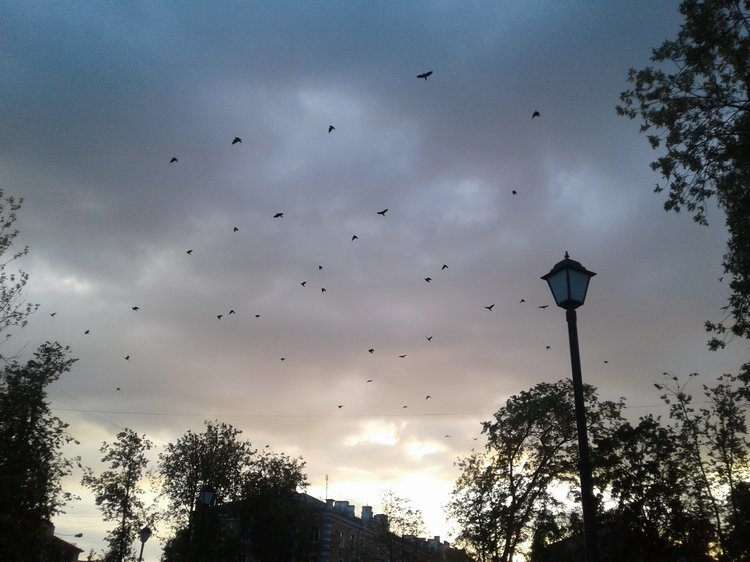 Наше лето 2: Псков, День Города! Прогулка с Донной. Новые куклы в подарок (ура!!!)