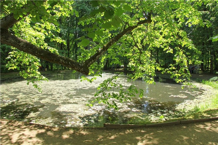 Я ехал к Вам! Пушкинский праздник в Берново, 2018 год