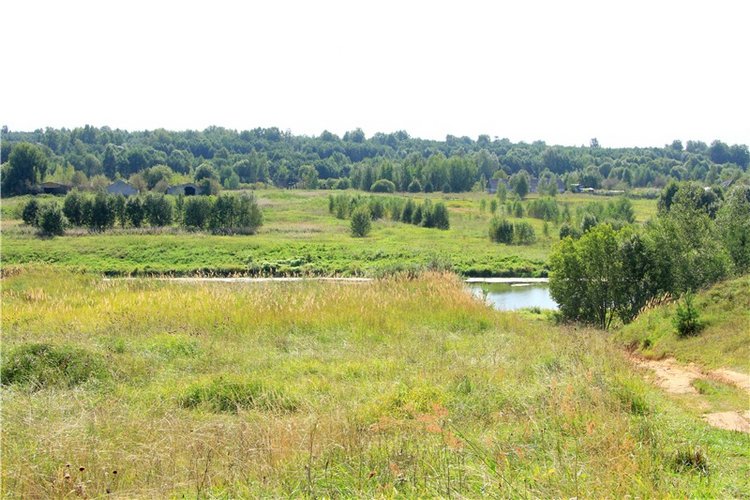 Инопланетянка Нийя. Custom Blythe Doll UFO Go Go Takara