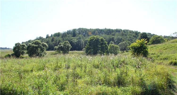 Старицкая Швейцария. Путешествие Мии. Minifee Miyu FairlyLand | Бэйбики Старицкая Швейцария. Путешествие Мии. Minifee Miyu FairlyLand