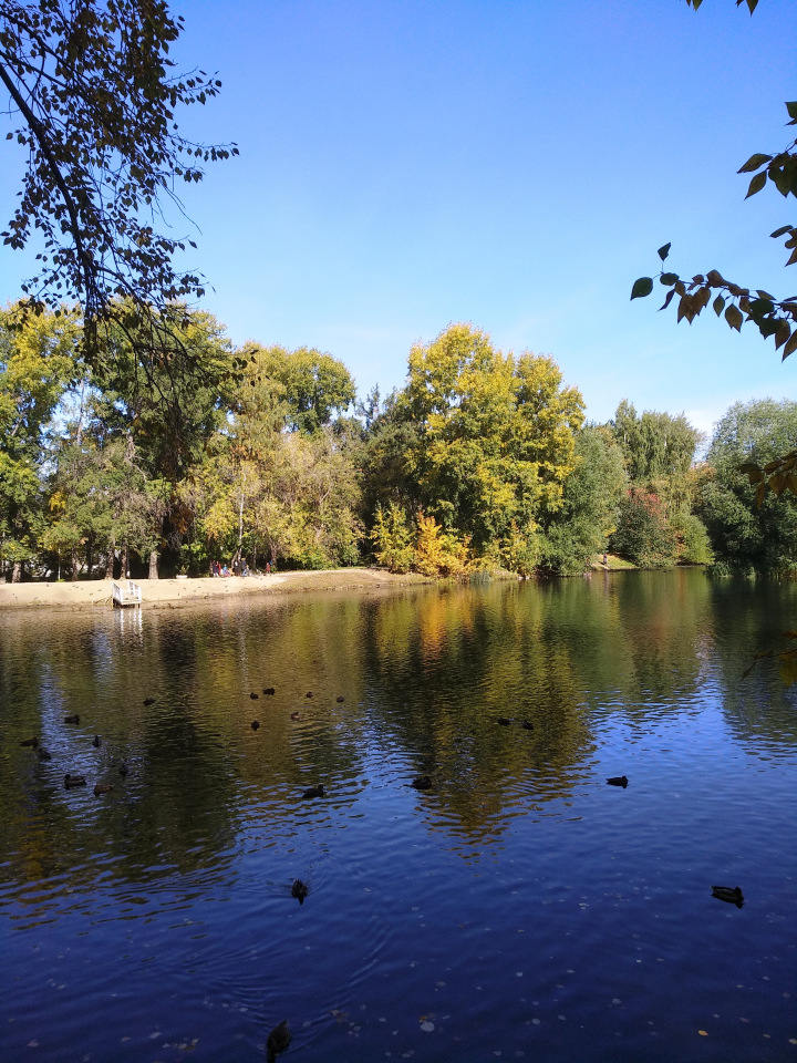 Тайна моего имени. Часть четвертая. Колумбу тоже не верили (фото 3)