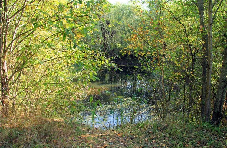 Путешествие Адель в "Сад камней". Джульетта от Sylvia Natterer