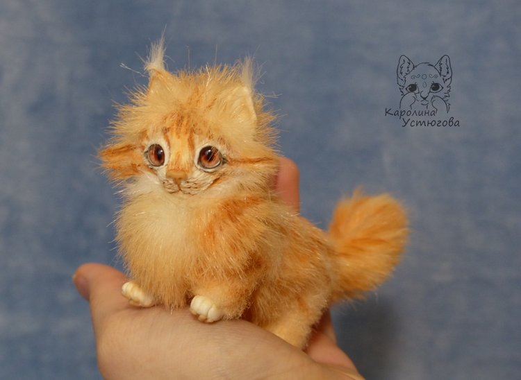 Мейн-ку́н, миниатюра. Рыженький (фото 7)