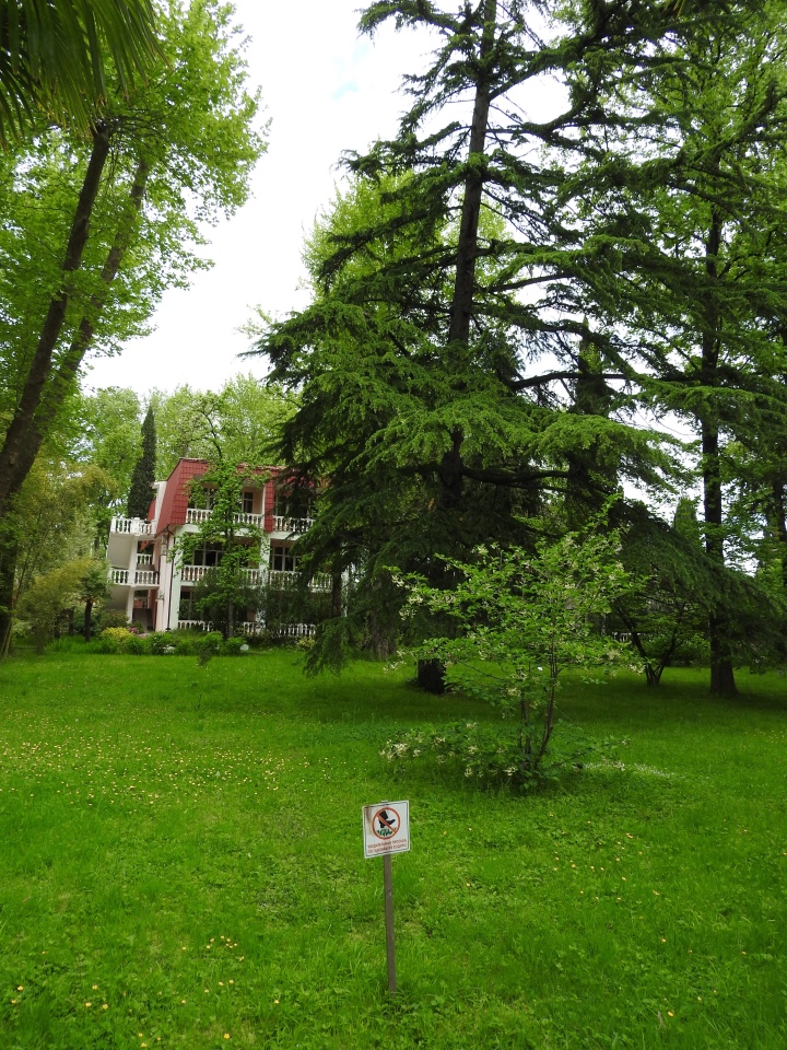 Сочи-Адлер: Южное Взморье - виртуальное путешествие по территории санатория